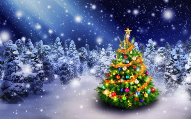 christmas_tree_23d6a1b580196ba93ea43abc5030ac26_625x0.jpg
