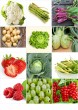 Karta Nazywamy warzywa i owoce