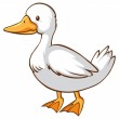 a duck
